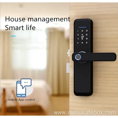 Smart WiFi Door Lock with Fingerprint & Password Access